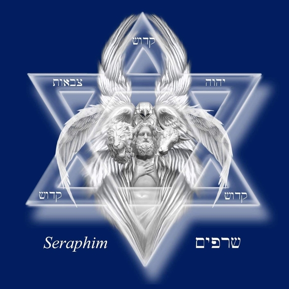 Meet your Posher, David - Picture 1 of 1